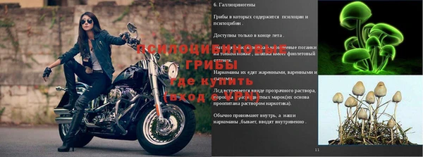 твердый Баксан