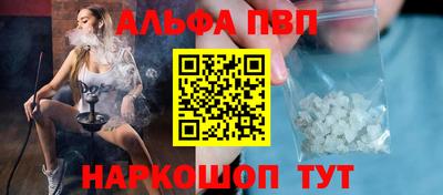 крисы Кингисепп