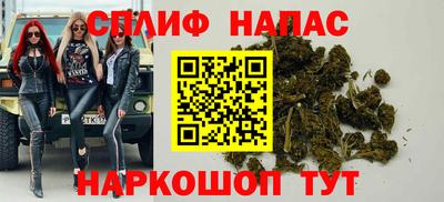 крисы Кингисепп