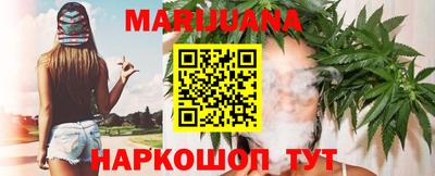 крисы Кингисепп