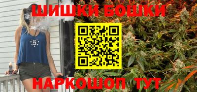 крисы Кингисепп