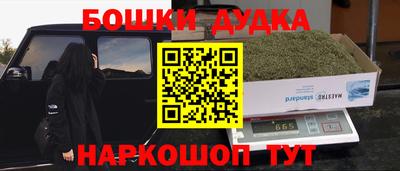 крисы Кингисепп
