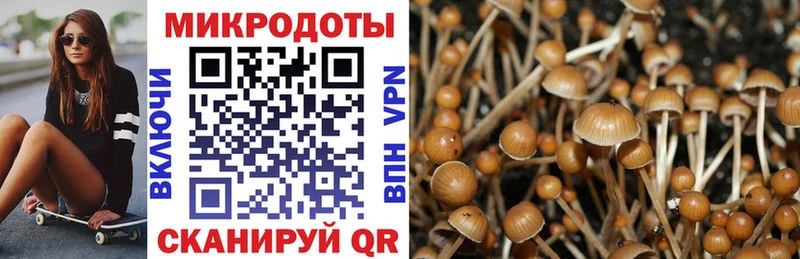 Псилоцибиновые грибы мухоморы  МЕГА как войти  Армавир 